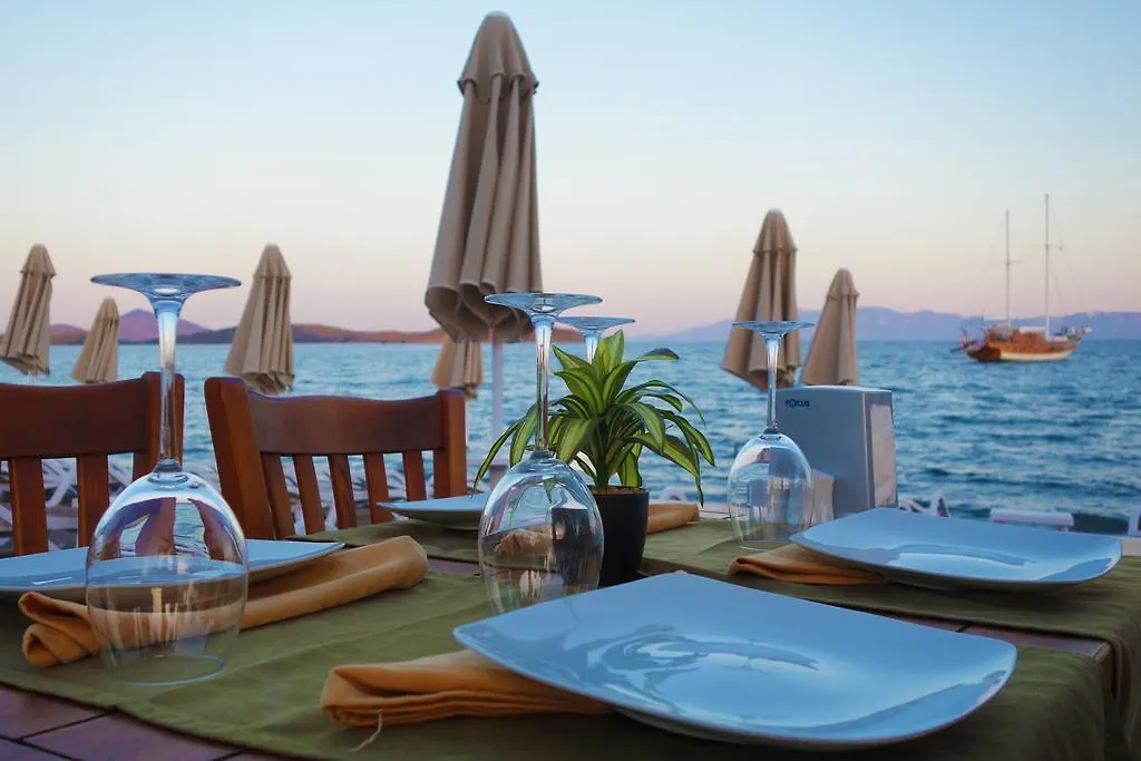 Zest Exclusive Hotel & Spa Ortakent 3*,